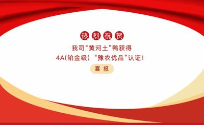【喜報】—我司黃河土鴨獲4A(鉑金級）“豫農(nóng)優(yōu)品”認(rèn)證！